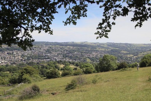 Limestone Way dog walk in Matlock