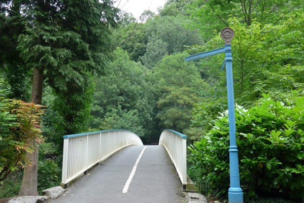 Derwent Gardens dog walk in Matlock