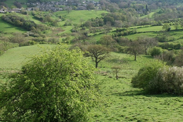 Winster and Birchover dog walk in Matlock