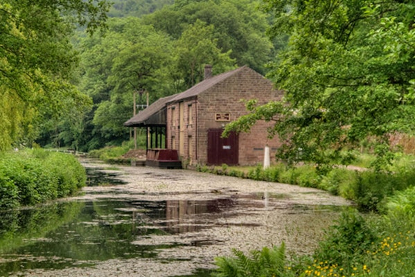 Cromford Canal dog walk in Matlock