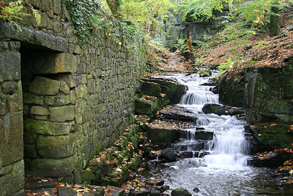 Lumsdale Falls dog walk in Matlock