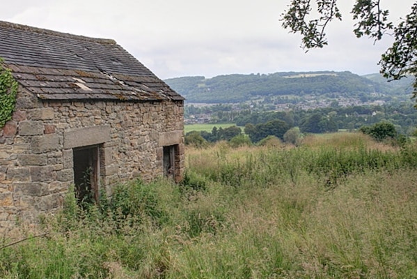 Oker Hill dog walk Matlock