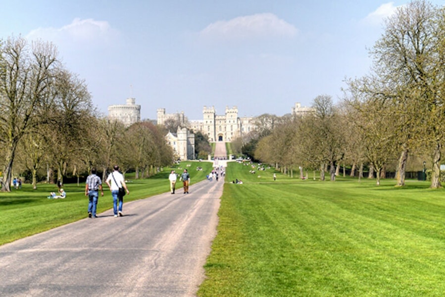 10 Wondrous Dog Walks in Windsor Great Park