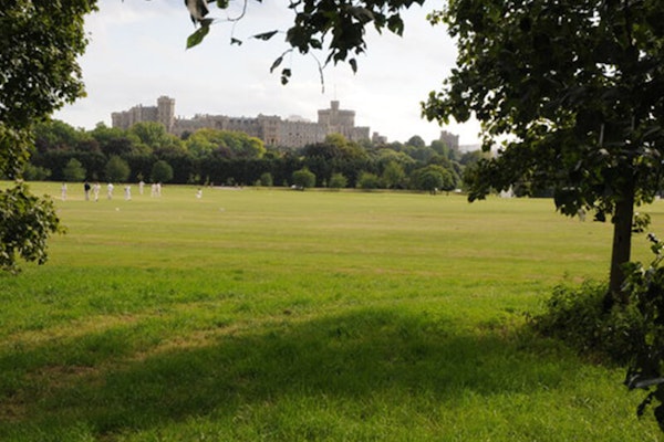 Dog walk at Home Park with view of castle, Windsor