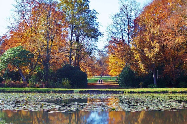 View of Cow Pond dog walk, Windsor