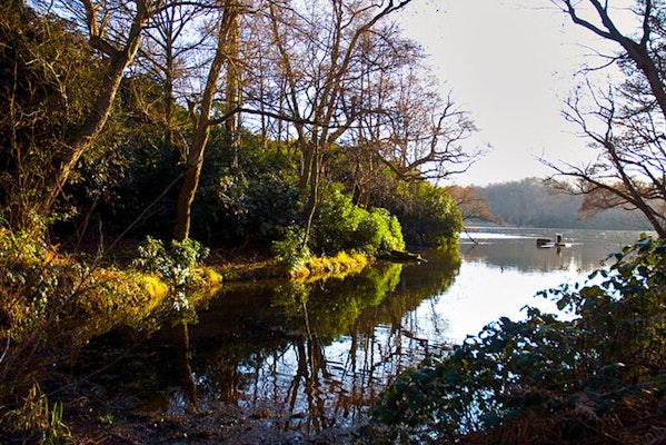 View of lake and woodland dog walk, Virginia Water, Windsor