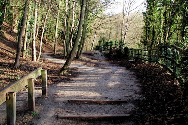 Dog walks in Cottingham humber bridge country park