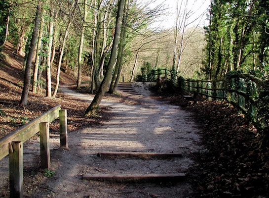 Dog walks in Cottingham humber bridge country park