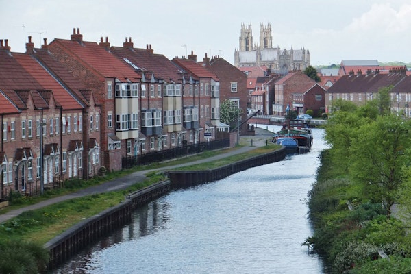 Dog walks in Cottingham river hull