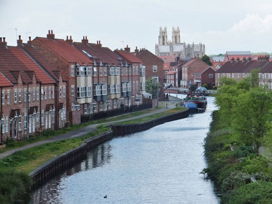 Dog walks in Cottingham river hull