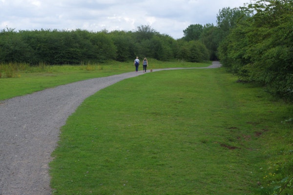 The Forest of Marston Vale dog walk