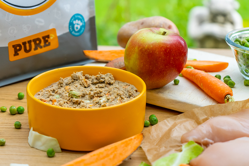 Best dog food for arthritis online