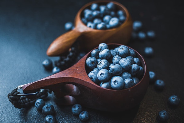 Can dogs eat blueberries?