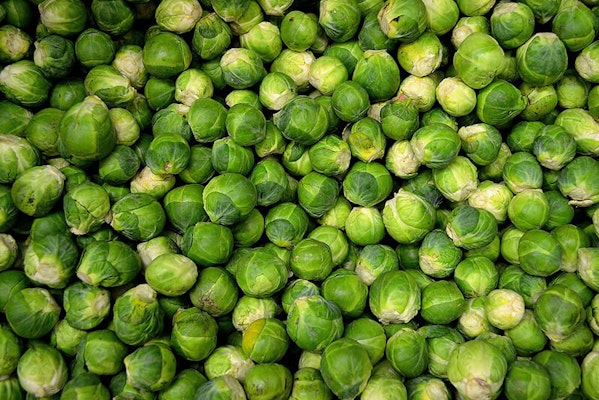 Can dogs eat Brussel sprouts?