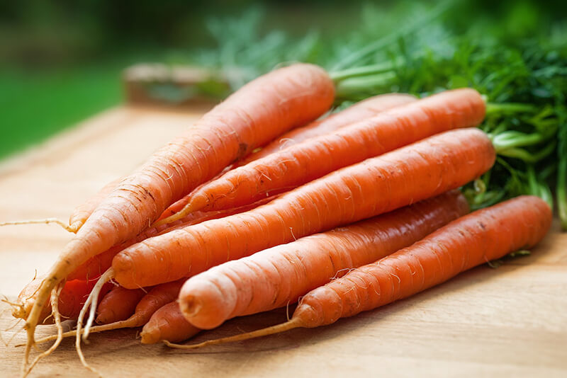 are carrots safe to feed dogs