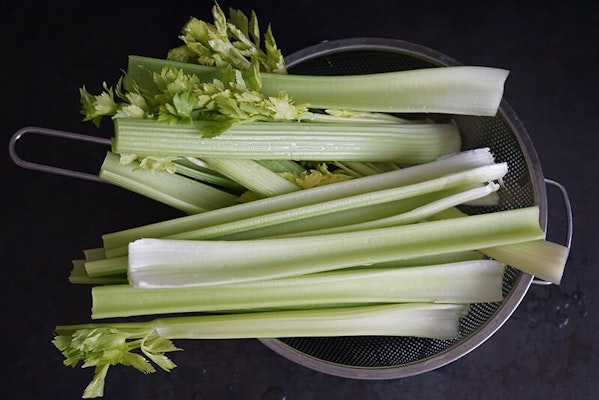 Can dogs eat celery?