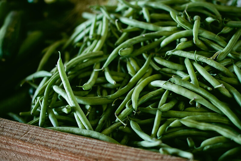 are frozen green beans safe for dogs