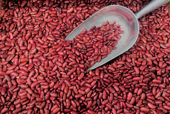 Can dogs eat kidney beans?