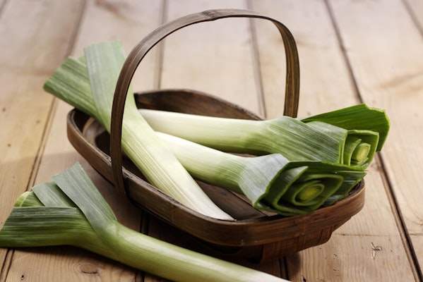Can dogs eat leeks?