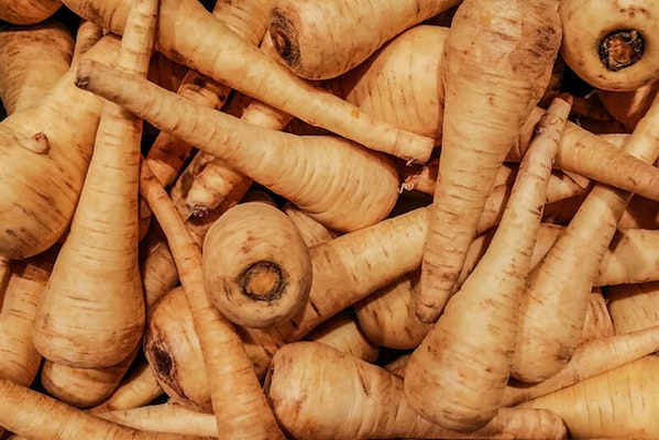 Can dogs eat parsnips?
