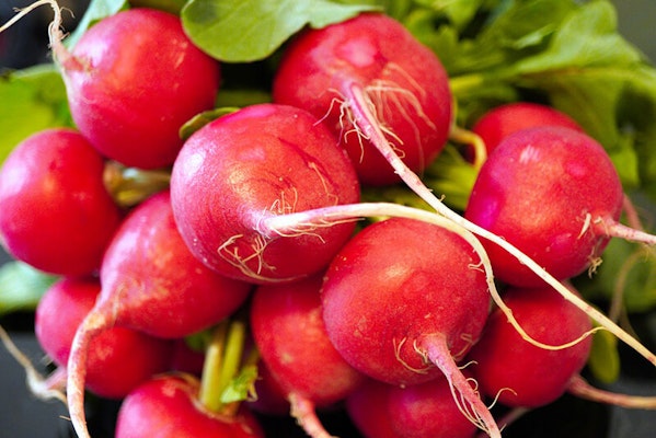 Can dogs eat radishes?