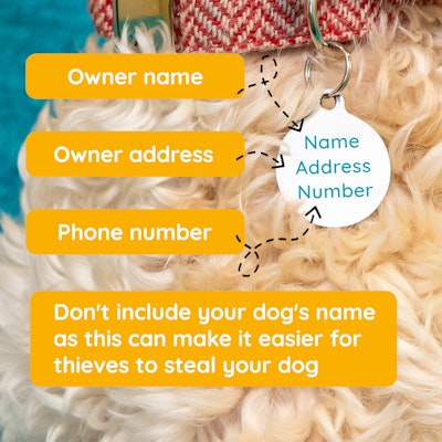 What to include on your dog's tag
