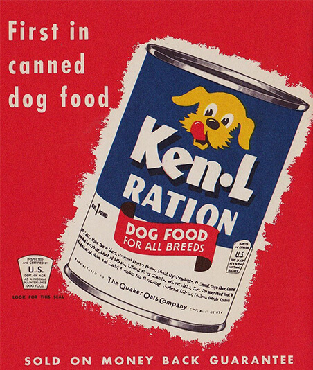 kibble bad for dogs