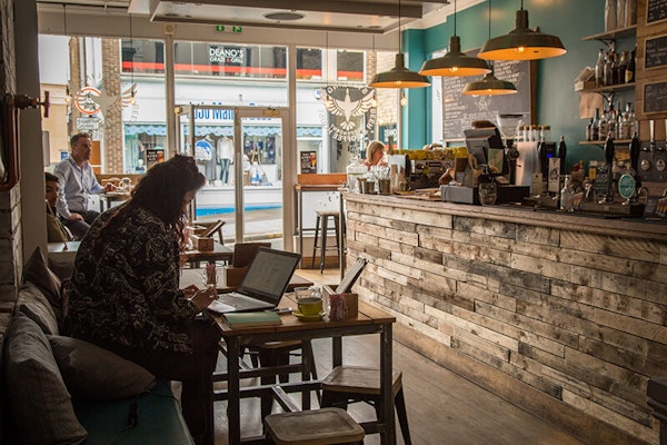 Harrogate dog friendly pubs The Starling