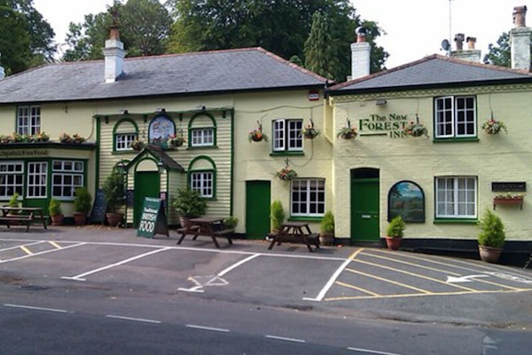 New Forest dog friendly pubs New Forest Inn