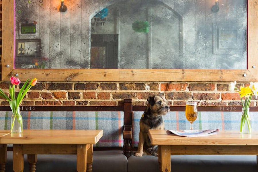 Brighton dog friendly pub Farm Tavern