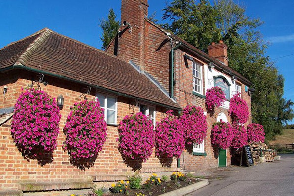 Kent dog friendly pub Halfway House