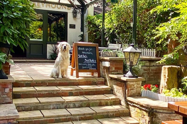 Oxford dog friendly pub Angel & Greyhound