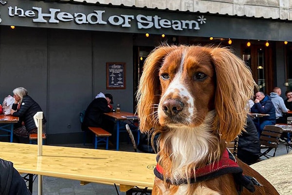 Sheffield dog friendly pub Head of Steam
