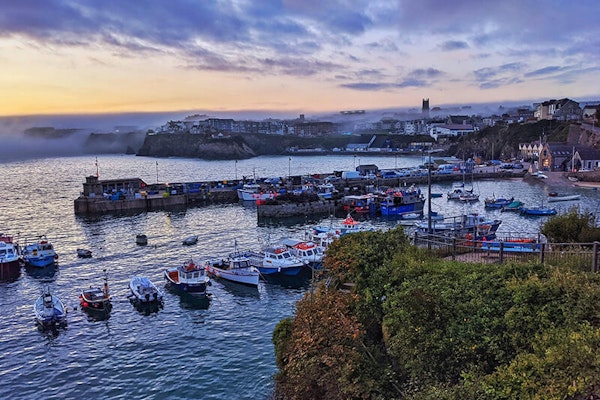 Newquay dog friendly pub Red Lion
