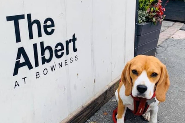 Windermere dog friendly pub Albert