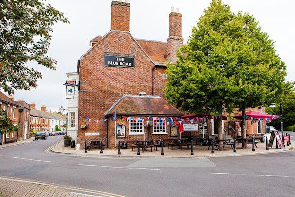 Dorset dog friendly pub Blue Boar