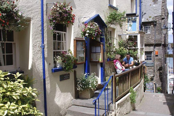 Tenby dog friendly pub Plantagenet