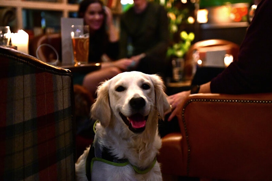 Poole dog friendly pub Yachtsman