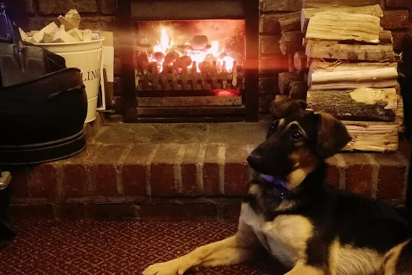 Scarborough dog friendly pub Hole in the Wall