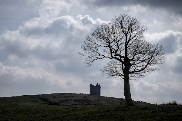 Cheshire dog walk Lyme Park