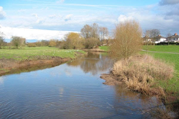 Cheshire dog walk Nantwich Riverside Loop