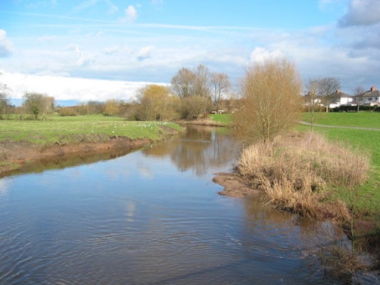 Cheshire dog walk Nantwich Riverside Loop