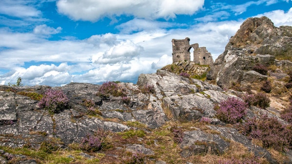 Cheshire dog walk Mow Cop Castle