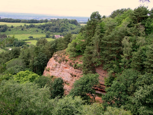 Cheshire dog walk Raw Head