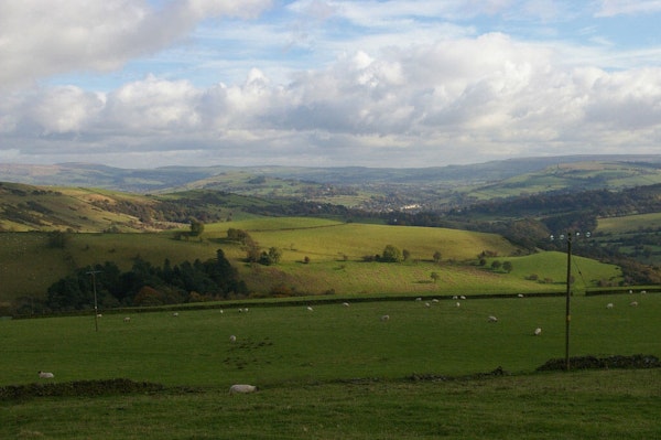 Cheshire dog walk Gritstone Trail