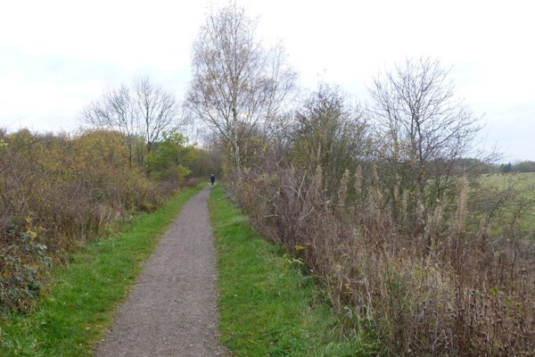 Derbyshire dog walks Blackwell Trail