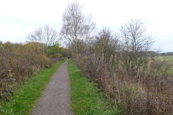Derbyshire dog walks Blackwell Trail