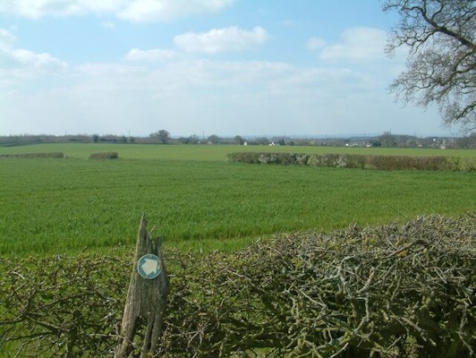 Derbyshire dog walks Coton Walk