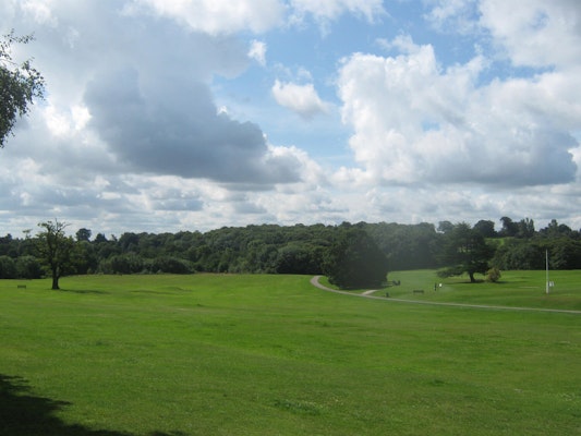 Derbyshire dog walks Allestree Park