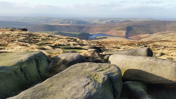 Derbyshire dog walks Kinder Scout